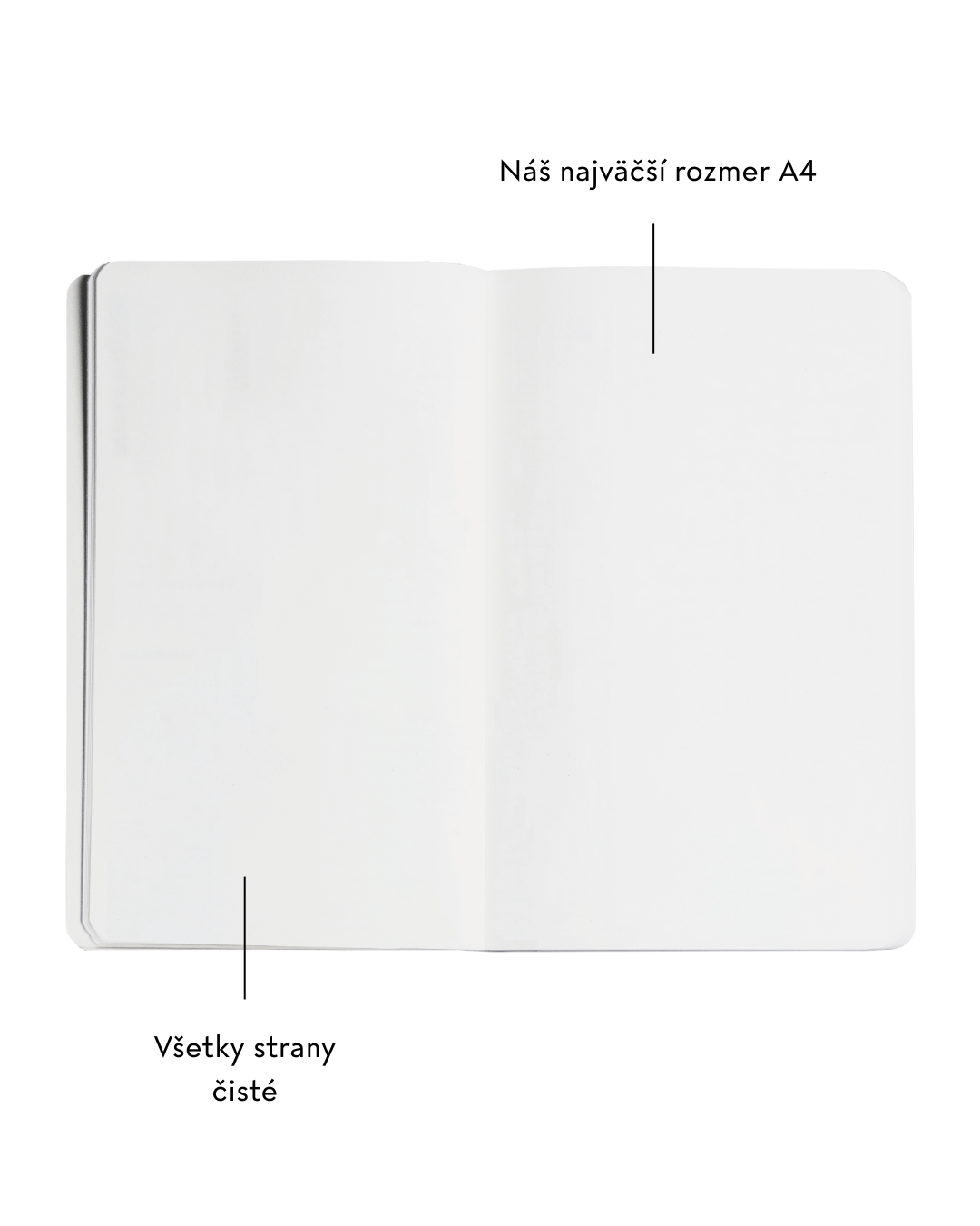 Skicár